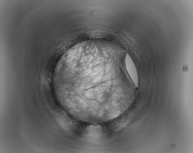 X0000096720271200802261701