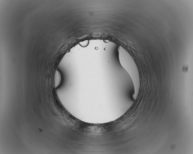 X0000096720272200802261701