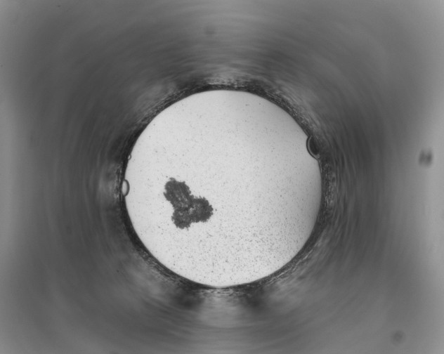 X0000096720273200802261701