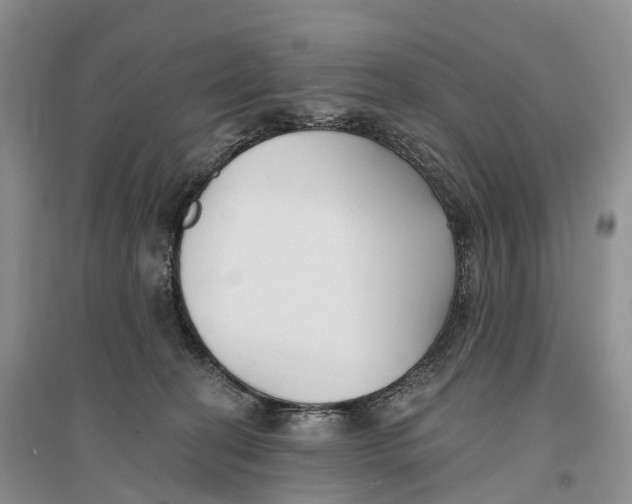 X0000096720274200802261701