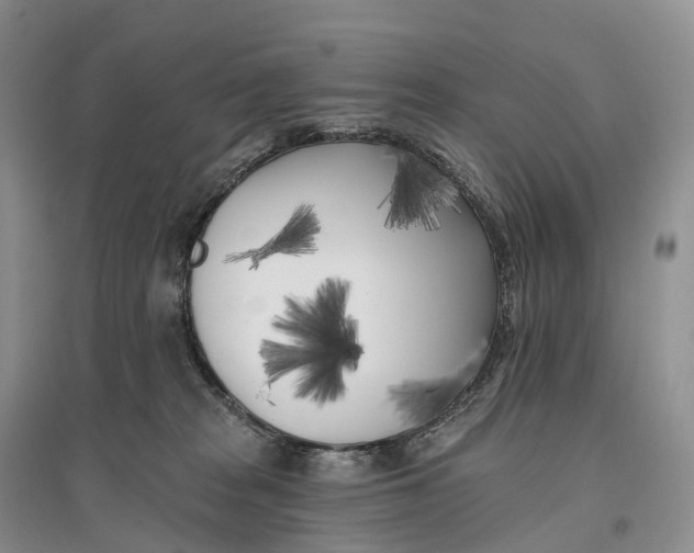 X0000096720277200802261701