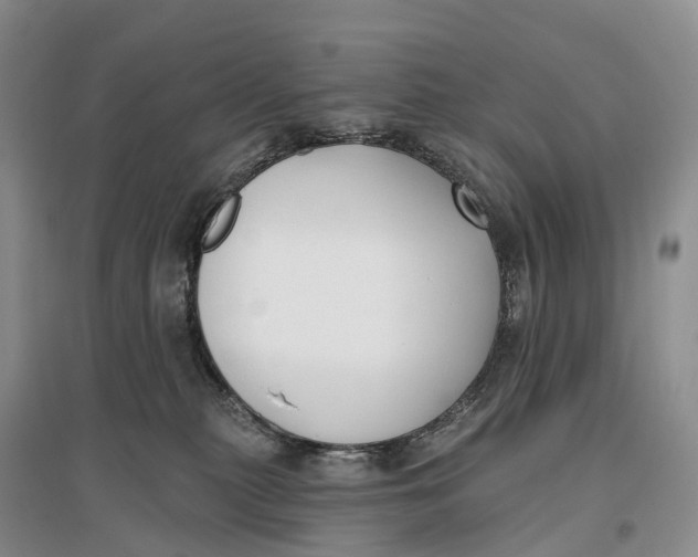 X0000096720279200802261701