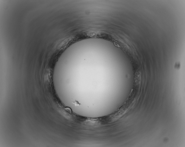 X0000096720280200802261701