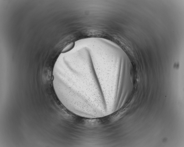 X0000096720281200802261701