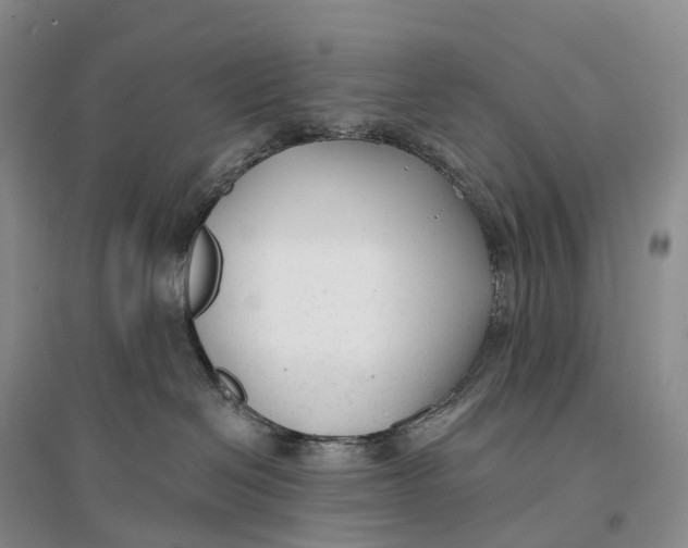 X0000096720286200802261702