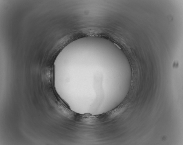 X0000096720288200802261702