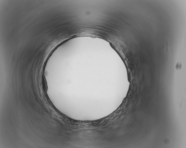 X0000096720289200802261701