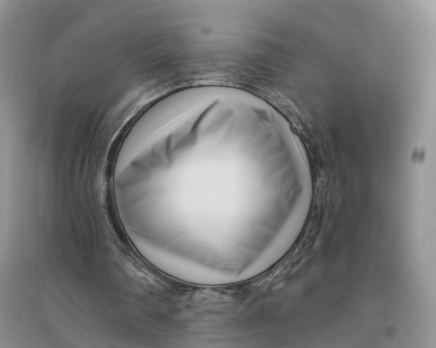 X0000096720290200802261701