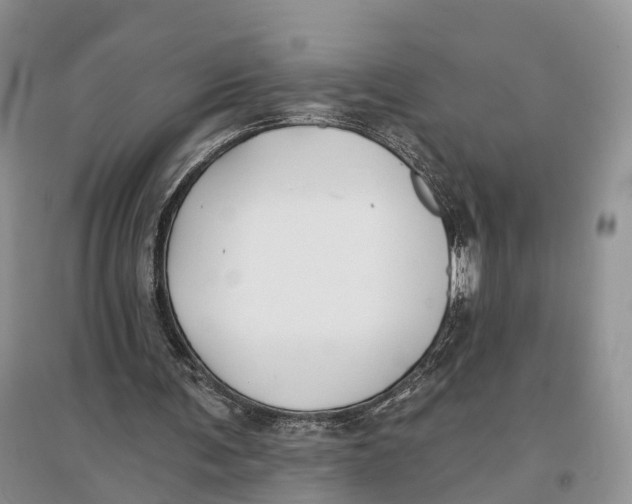 X0000096720291200802261701