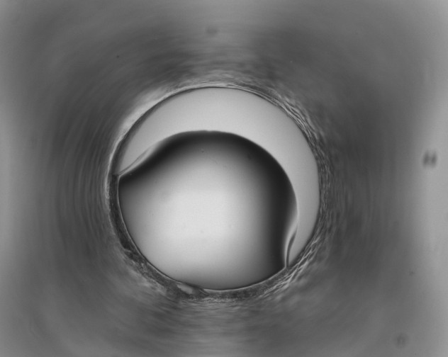 X0000096720292200802261701