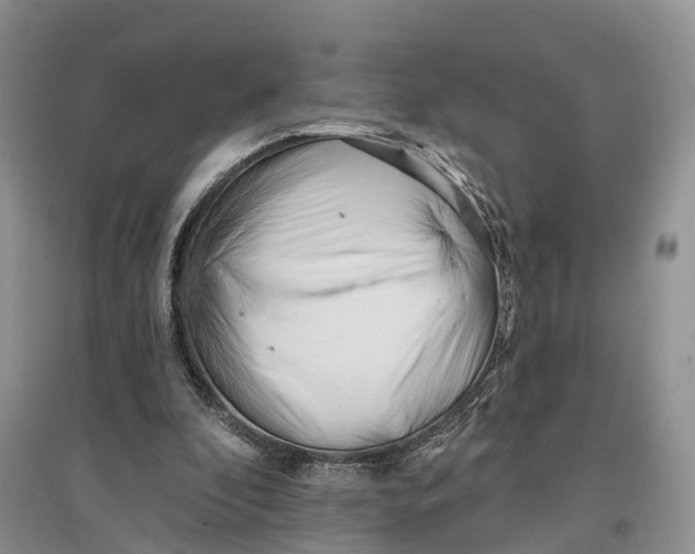 X0000096720296200802261701