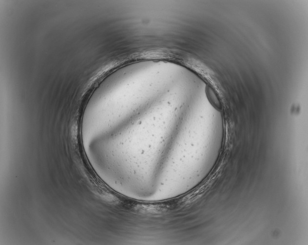 X0000096720297200802261701