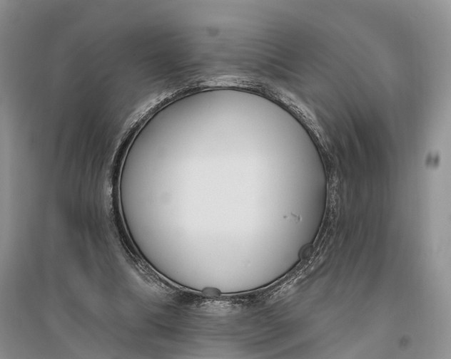 X0000096720298200802261701