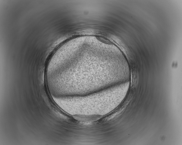 X0000096720301200802261700