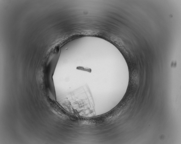 X0000096720303200802261700