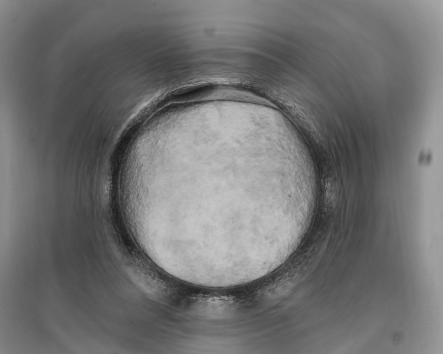 X0000096720304200802261700