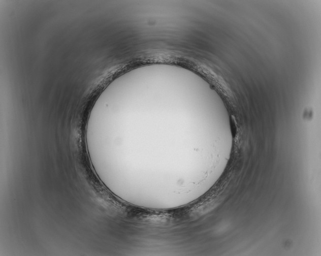 X0000096720306200802261700