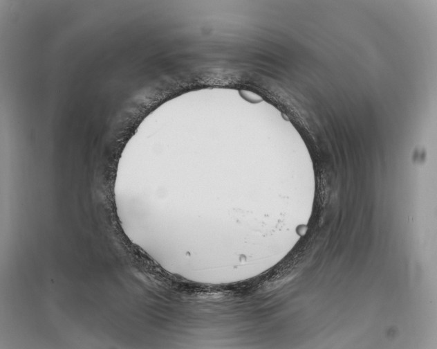 X0000096720307200802261700