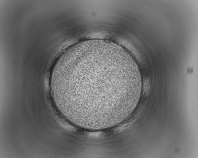 X0000096720309200802261700