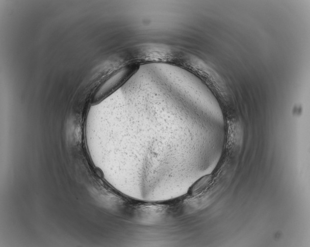 X0000096720313200802261700