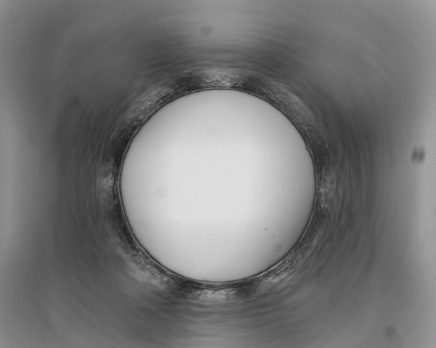 X0000096720314200802261700