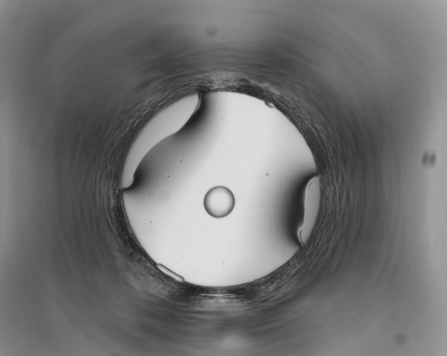 X0000096720316200802261700