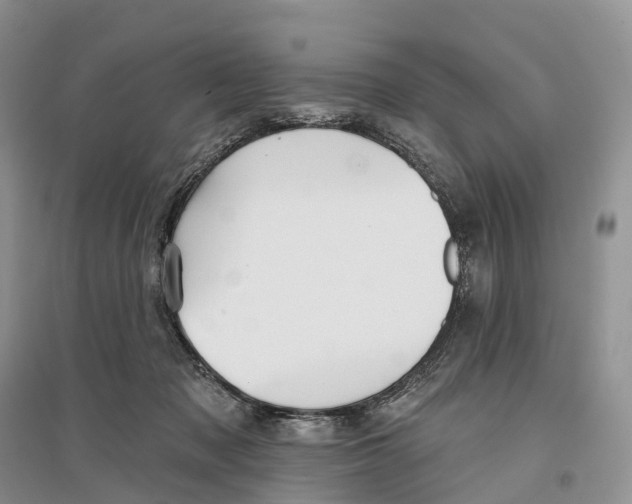 X0000096720317200802261700