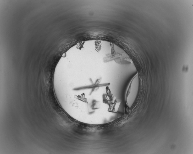 X0000096720319200802261700