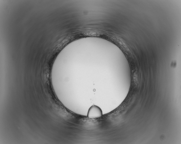 X0000096720322200802261700