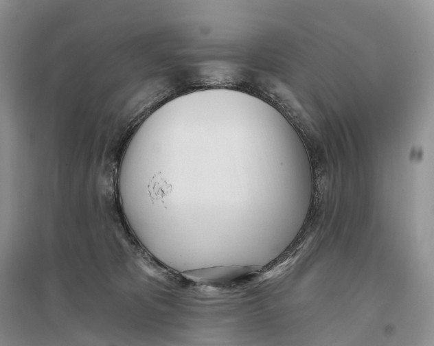 X0000096720325200802261700