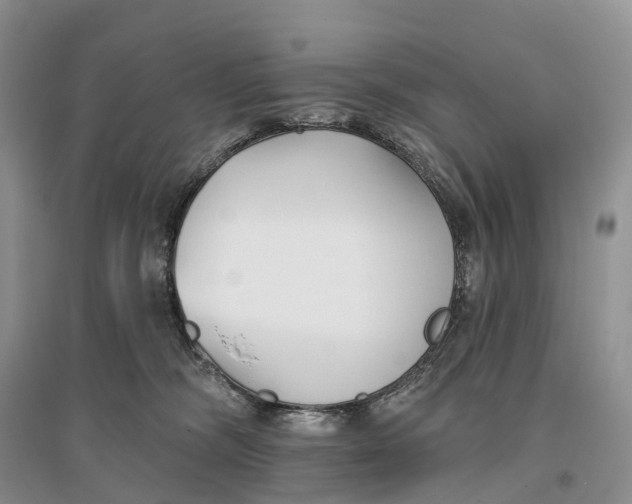 X0000096720326200802261700