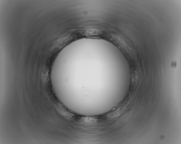 X0000096720327200802261700