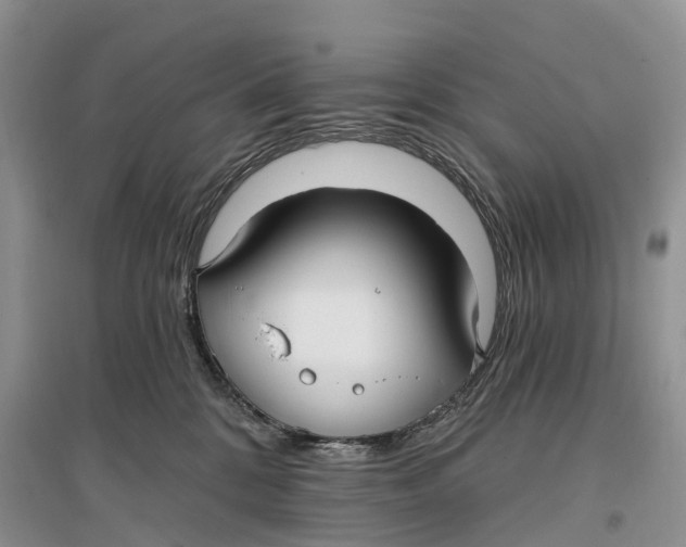 X0000096720328200802261700