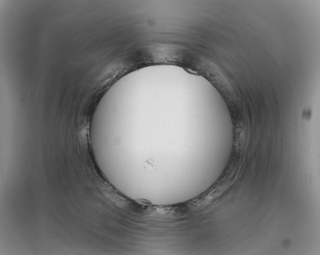 X0000096720329200802261700