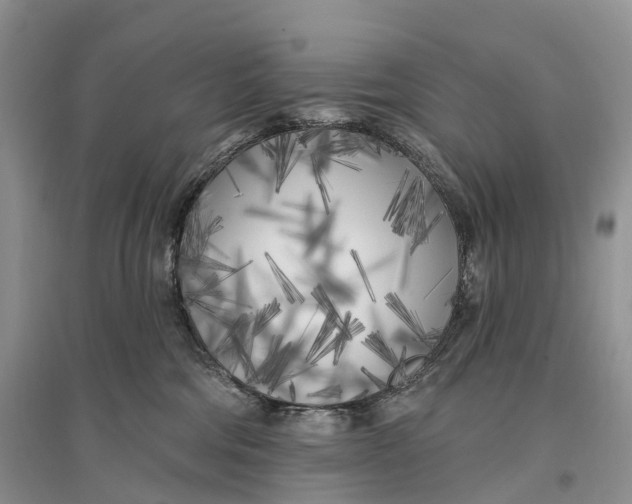 X0000096720330200802261700