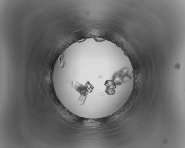 X0000096720331200802261700