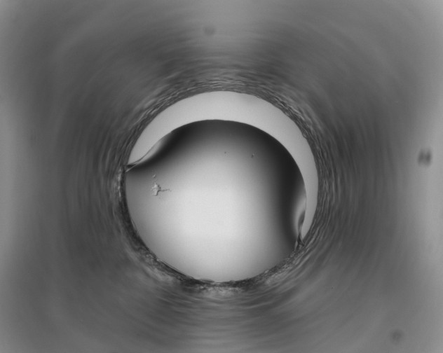 X0000096720332200802261700