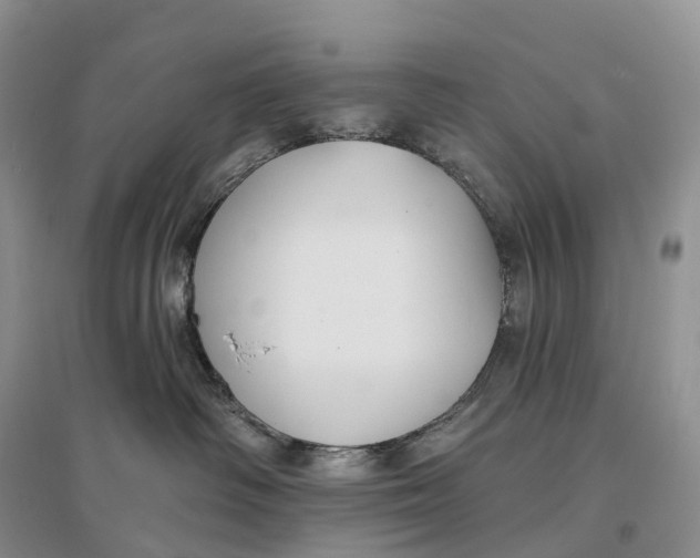 X0000096720334200802261700