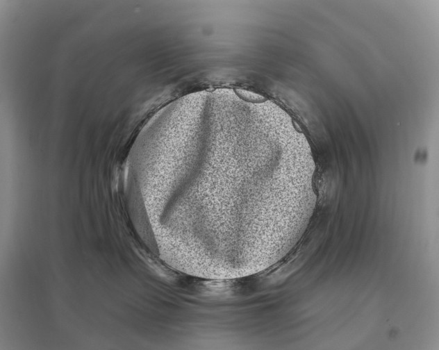 X0000096720335200802261700