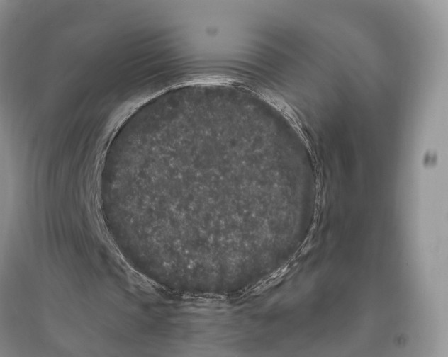 X0000096720337200802261659