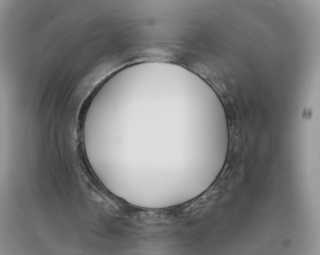 X0000096720338200802261659