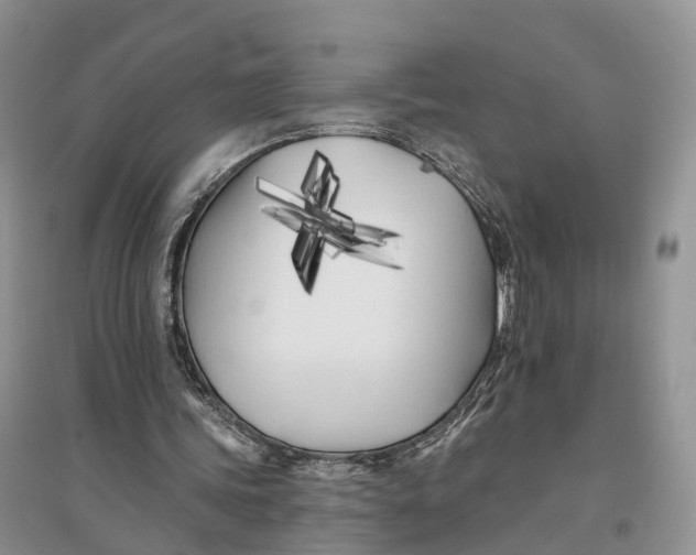 X0000096720339200802261659