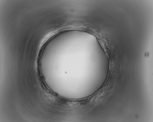 X0000096720340200802261659