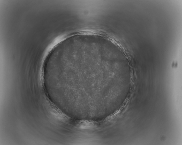 X0000096720343200802261659