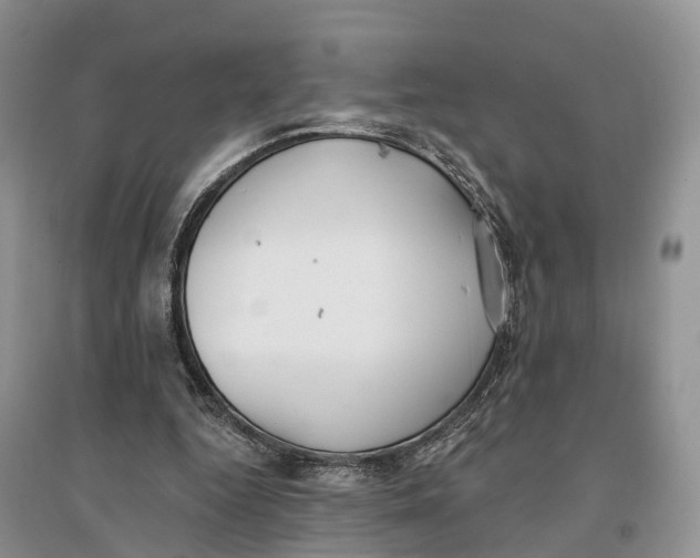 X0000096720344200802261659