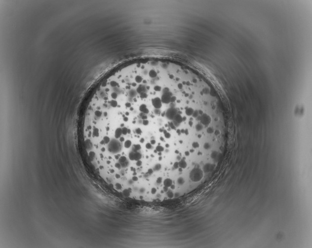 X0000096720346200802261659