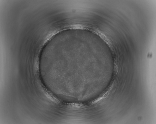 X0000096720347200802261659