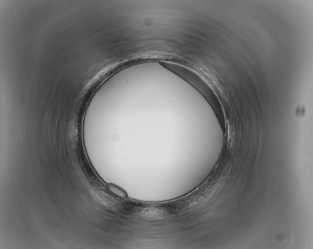 X0000096720348200802261659