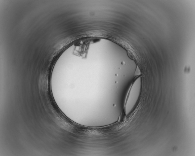 X0000096720349200802261659