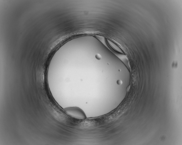 X0000096720350200802261659